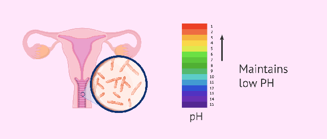 Mất cân bằng pH âm đạo có nguy cơ gây bệnh gì?- Ảnh 1.