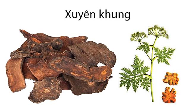 Bài thuốc trị đau đầu do thời tiết từ xuyên khung- Ảnh 2.