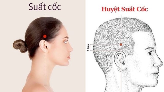 Day bấm huyệt giúp giảm say rượu- Ảnh 2.