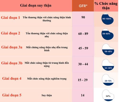 4 cách ngăn chặn bệnh thận mạn tiến triển thành suy thận- Ảnh 3.