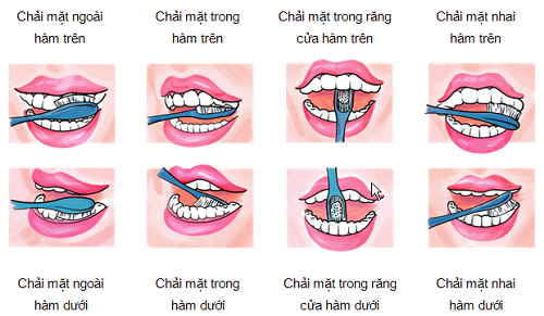 4 cách giúp răng chắc khỏe, ngừa sâu răng- Ảnh 2.