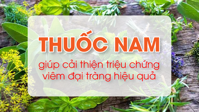 8 cây thuốc nam nên dùng khi bị viêm đại tràng- Ảnh 1.