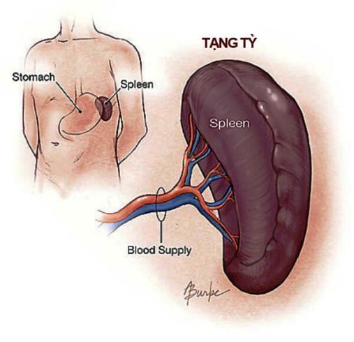 Biện pháp hóa giải cơn nhức đầu, đau khớp do thời tiết cuối mùa hạ- Ảnh 1.