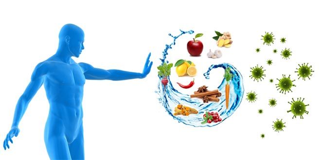 immune_system_food_nutrition_660x330