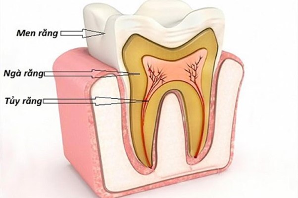 https://dakhoasaigontamky.com/Uploads/images/Blogs/tuyrang1-0oqa3ifo.jpg