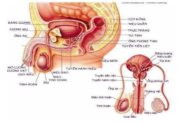 Các biện pháp điều trị chèn ép dây thần kinh thẹn- Ảnh 1.