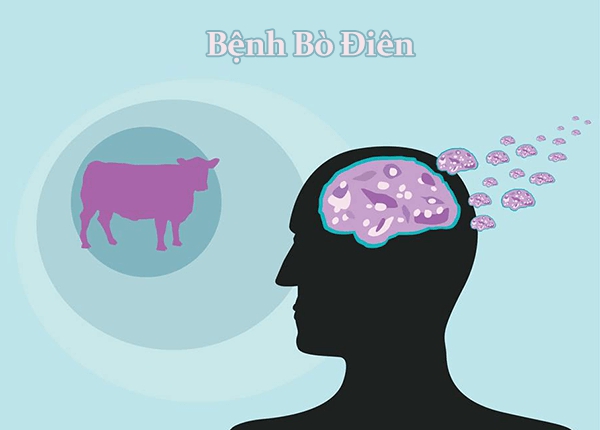 Câu hỏi thường gặp liên quan đến bệnh bò điên- Ảnh 1. Câu hỏi thường gặp liên quan đến bệnh bò điên- Ảnh 1.