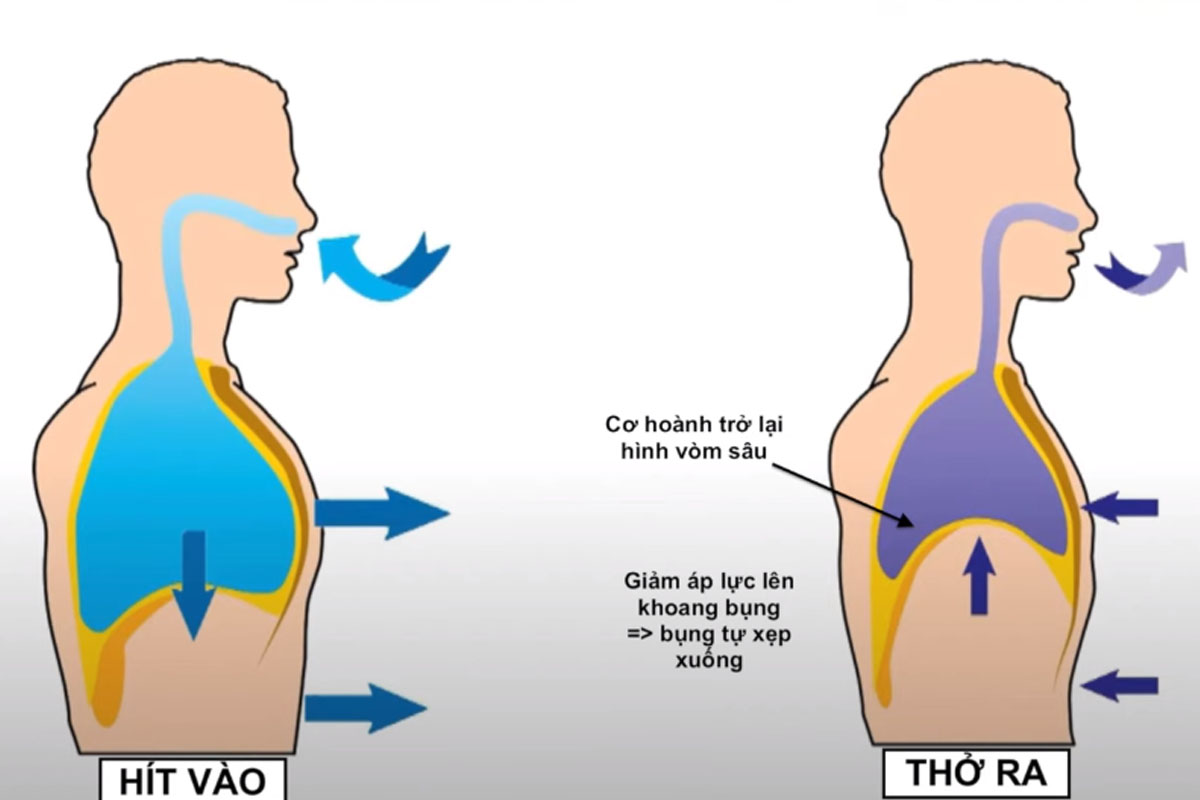 Bài tập cho người mắc hội chứng Lyell- Ảnh 1. Bài tập cho người mắc hội chứng Lyell- Ảnh 1.