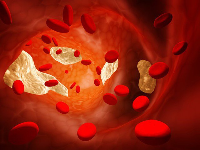 Cholesterol có nhiều chức năng nó được sử dụng như một loại keo để các màng tế bào gắn kết với nhau.