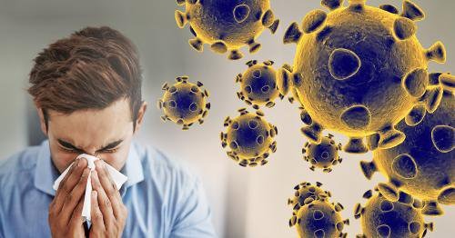 Cúm A/H1N1 cần được phát hiện sớm tránh tử vong- Ảnh 1. Cúm A/H1N1 cần được phát hiện sớm tránh tử vong- Ảnh 1.