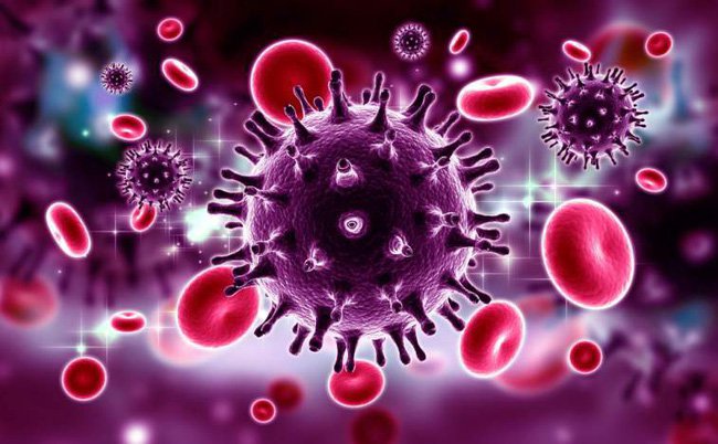 Nhận diện các giai đoạn nhiễm HIV ở phụ nữ- Ảnh 1. HIV-1