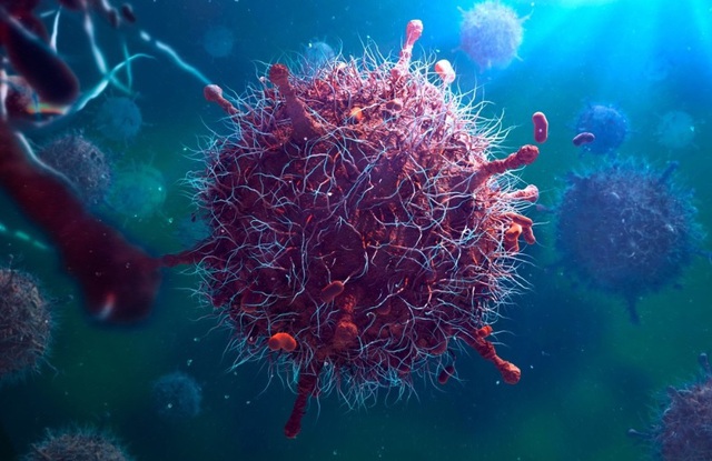 Bệnh Prion: Hiểm họa âm thầm đối với con người và động vật- Ảnh 1. Bệnh Prion: Hiểm họa âm thầm đối với con người và động vật- Ảnh 1.
