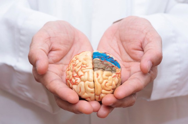 Hiểm họa Prion: Nguy cơ từ thực phẩm bạn ăn mỗi ngày- Ảnh 1. Hiểm họa Prion: Nguy cơ từ thực phẩm bạn ăn mỗi ngày- Ảnh 1.