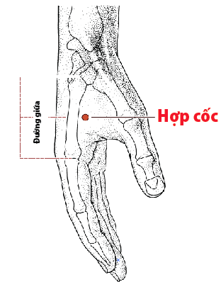 Xoa bóp bấm huyệt giúp tăng sức đề kháng mùa nắng nóng- Ảnh 1. Xoa bóp bấm huyệt giúp tăng sức đề kháng mùa nắng nóng- Ảnh 1.