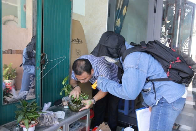 Sốt xuất huyết tăng vọt, TPHCM triển khai hàng loạt biện pháp khẩn- Ảnh 1. Sốt xuất huyết tăng vọt, TPHCM triển khai hàng loạt biện pháp khẩn- Ảnh 1.