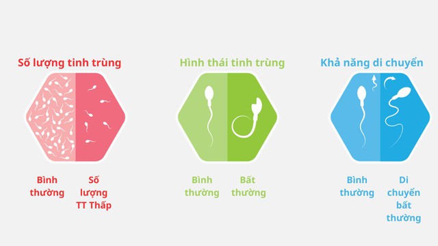 Những yếu tố ảnh hưởng đến chất lượng tinh trùng- Ảnh 1. Những yếu tố ảnh hưởng đến chất lượng tinh trùng- Ảnh 1.