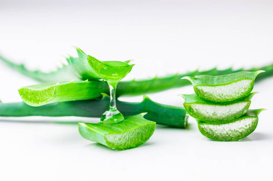 Lô hội tốt cho da như thế nào?- Ảnh 1. Lô hội tốt cho da như thế nào?- Ảnh 1.