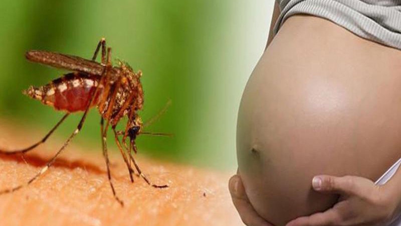 Đối tượng nào mắc sốt xuất huyết dễ bị trở nặng?- Ảnh 1. Đối tượng nào mắc sốt xuất huyết dễ bị trở nặng?- Ảnh 1.