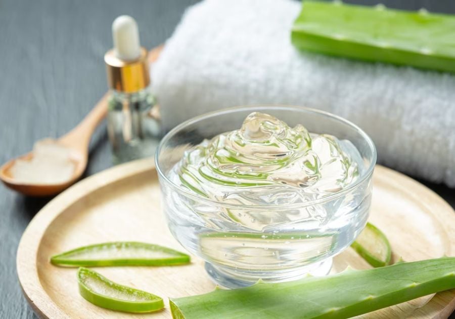 Cách sử dụng lô hội (nha đam) để có làn da sáng và mái tóc khỏe mạnh- Ảnh 1. Cách sử dụng lô hội (nha đam) để có làn da sáng và mái tóc khỏe mạnh- Ảnh 1.