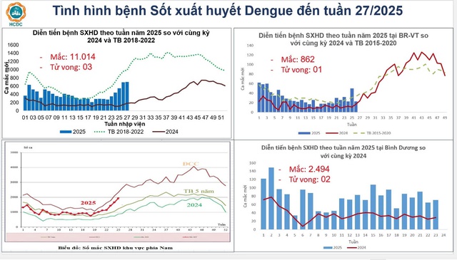 TPHCM: Sốt xuất huyết gia tăng báo động, 6 ca tử vong- Ảnh 1. TPHCM: Sốt xuất huyết gia tăng báo động, 6 ca tử vong- Ảnh 1.