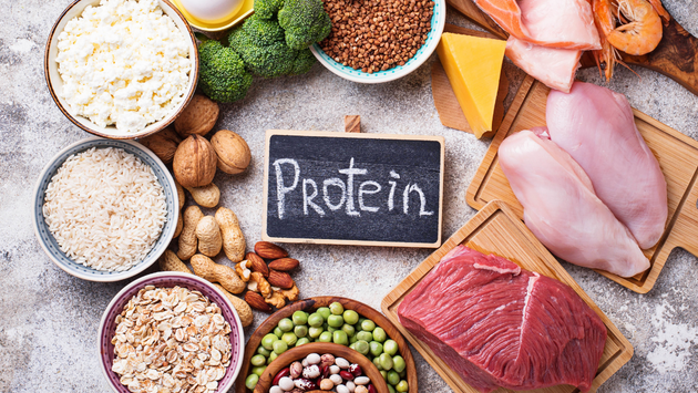 Vì sao thực phẩm giàu protein giúp trẻ lâu?- Ảnh 1. Vì sao thực phẩm giàu protein giúp trẻ lâu?- Ảnh 1.