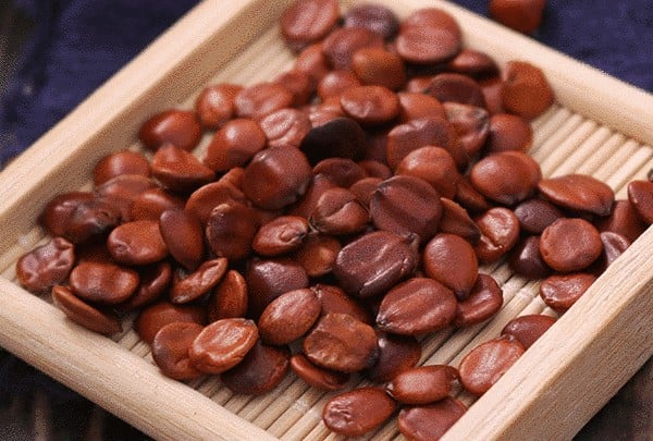 5 vị thuốc giúp ngủ ngon trong ngày hè oi ả- Ảnh 1. 5 vị thuốc giúp ngủ ngon trong ngày hè oi ả- Ảnh 1.