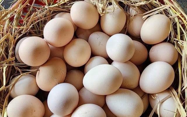Bài thuốc từ hà thủ ô phòng chống rụng tóc trong mùa thu- Ảnh 1. Bài thuốc từ hà thủ ô phòng chống rụng tóc trong mùa thu- Ảnh 1.