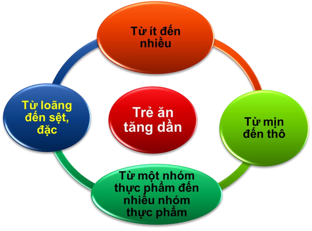 Dinh dưỡng 1.000 ngày đầu đời: Hướng dẫn hành trình ăn dặm khoa học- Ảnh 1. Dinh dưỡng 1.000 ngày đầu đời: Hướng dẫn hành trình ăn dặm khoa học- Ảnh 1.