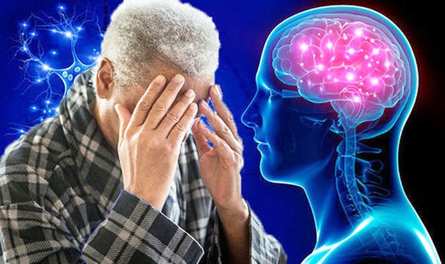 Cảnh báo trí nhớ suy giảm nhanh chóng nếu ăn nhiều thực phẩm này- Ảnh 1. Cảnh báo trí nhớ suy giảm nhanh chóng nếu ăn nhiều thực phẩm này- Ảnh 1.
