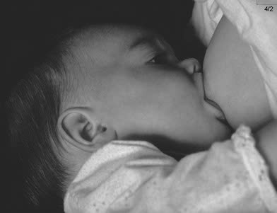 5 sai lầm phổ biến khiến mẹ mất sữa sớm mà không biết- Ảnh 1. 5 sai lầm phổ biến khiến mẹ mất sữa sớm mà không biết- Ảnh 1.