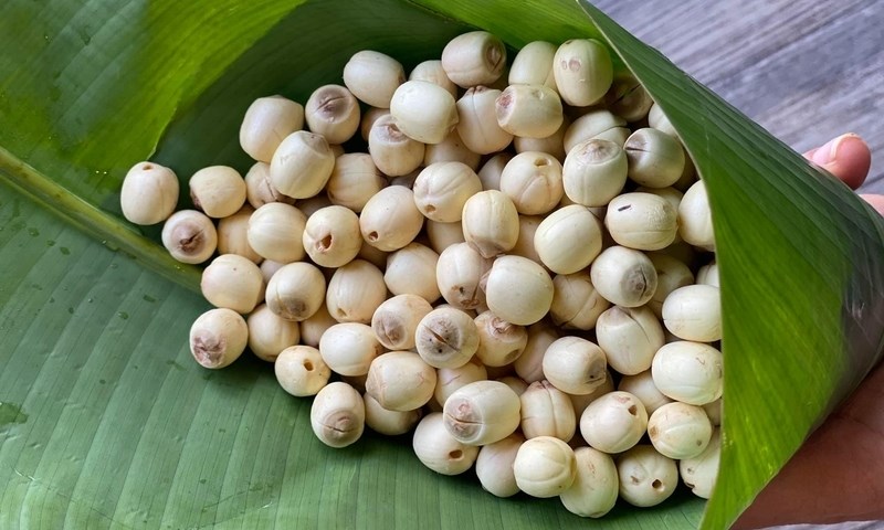 Thực đơn dưỡng sinh mùa thu phòng bệnh hô hấp- Ảnh 1. Thực đơn dưỡng sinh mùa thu phòng bệnh hô hấp- Ảnh 1.