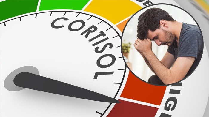 5 thói quen vô tình làm tăng cortisol gây căng thẳng, mệt mỏi cần tránh- Ảnh 1. lam-sao-giam-nong-do-cortisol-giup-giai-toa-cang-thang-hieu-qua11726040318