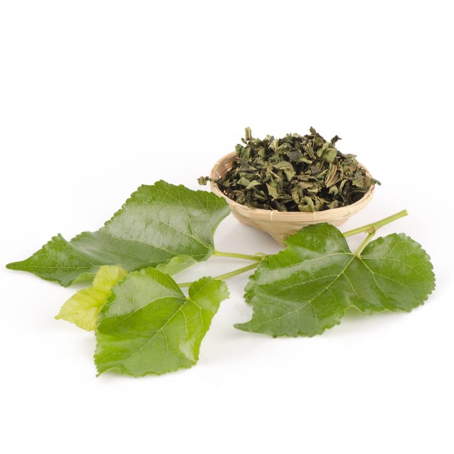 3 công thức trà lá dâu giúp bổ phổi, dưỡng da- Ảnh 1. 55.-tang-diep-1