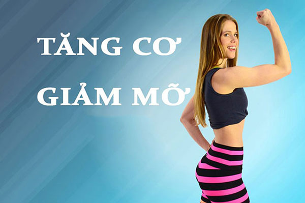 Cách tính calo cho người tập luyện nhẹ để duy trì cân nặng và tăng cơ- Ảnh 1. Cách tính calo cho người tập luyện nhẹ để duy trì cân nặng và tăng cơ- Ảnh 1.